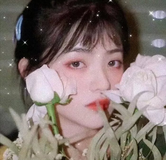 活树林